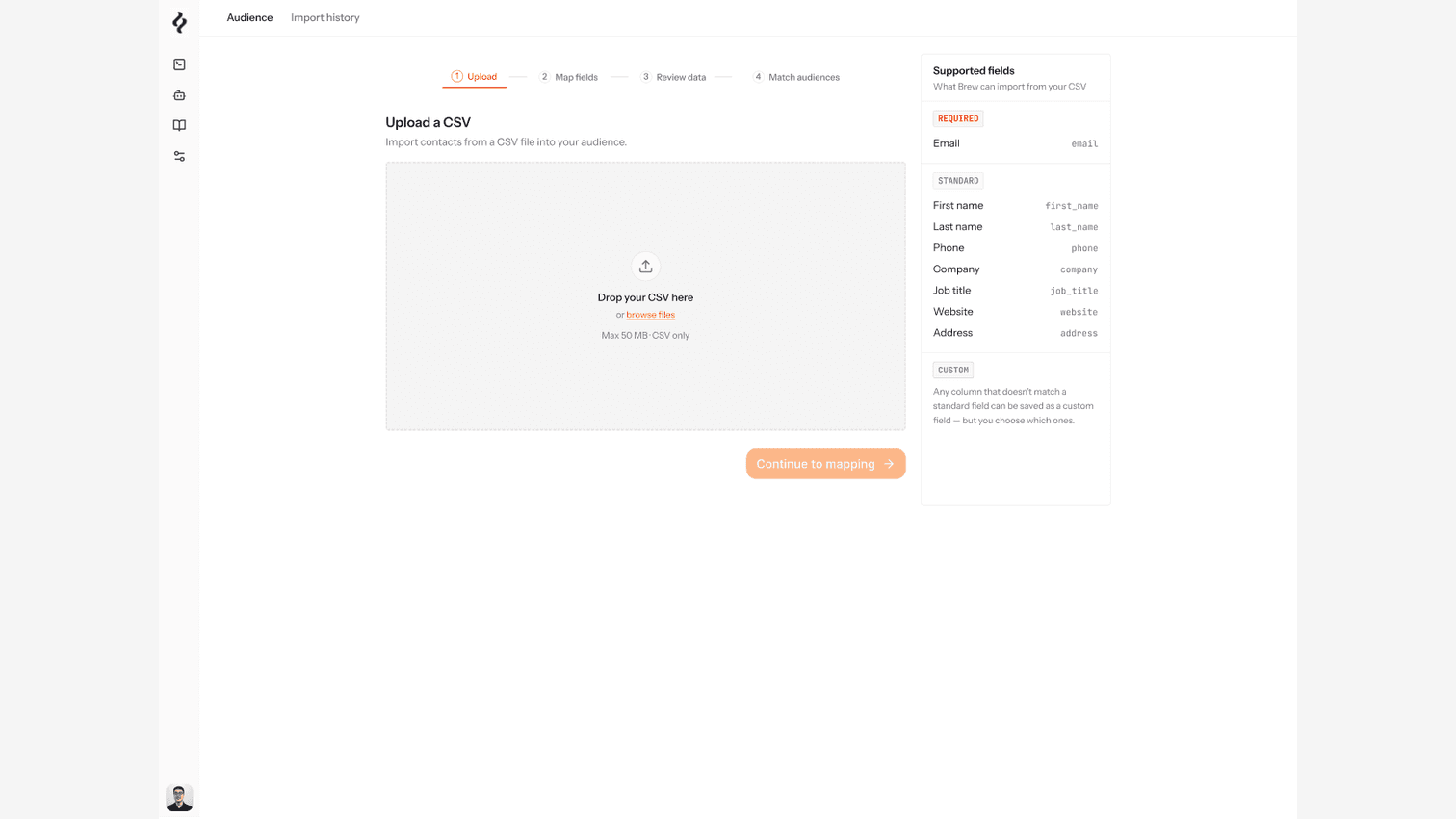 Brew audience import flow with data review